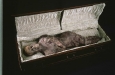 89970032