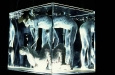 90850046
