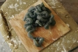 expandit-intestines1