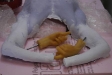 torso-w_hands