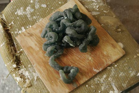 Expandit Intestines1