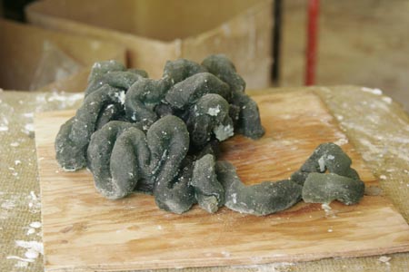 Expandit Intestines2