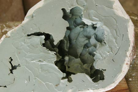 Intestines Mold