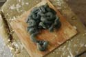 Expandit Intestines1